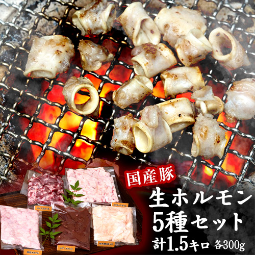 豚の生ホルモン5種セット（レバー、大腸、タン下、ハツモト、卵管）計1.5kg（各300g×1パック）国産 ※冷凍