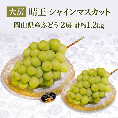 大房シャインマスカット「晴王」岡山県産ぶどう 2房 計約1.2kg 簡易箱 ※冷蔵