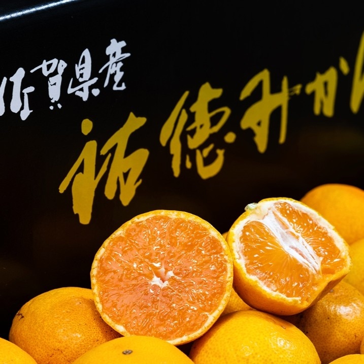 糖度13度以上 祐徳みかん （品種：寿太郎、今村） 佐賀県産 秀・イチオシ 2S-L 約5kg 化粧箱 風袋込 ※常温