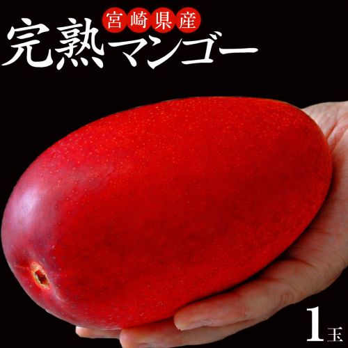みやざき完熟マンゴー 宮崎県産 2-3Lサイズ 1玉 350-499g 簡易箱 ※常温