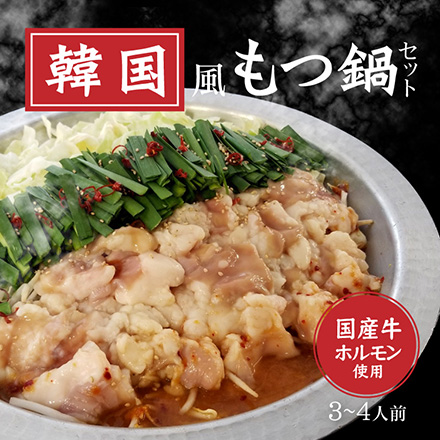 韓国風もつ鍋セット 3～4人前 美食うまいもん市場