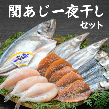 関あじ一夜干しセット　大分県 九州地方 美食うまいもん市場