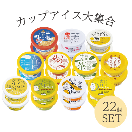 カップアイス大集合セット 高知県 四国地方 美食うまいもん市場