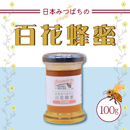 純度100％ 日本みつばちの国産生蜂蜜　100g 千葉県 関東地方 美食うまいもん市場