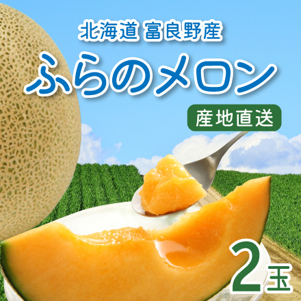 【7月中旬～8月初旬出荷】ふらのメロン２玉 北海道 美食うまいもん市場