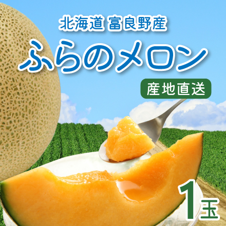 【7月中旬～8月初旬出荷】 ふらのメロン 1玉 北海道 美食うまいもん市場