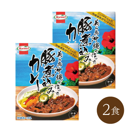 美ら島沖縄で作った豚煮込みカレー(2食)　九州・沖縄地方 沖縄県 美食うまいもん市場