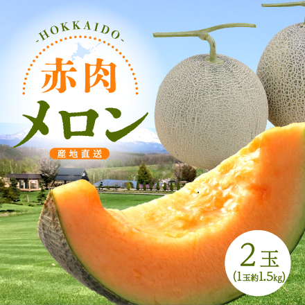 【7月中旬～8月初旬出荷】北海道赤肉メロン2玉 北海道 美食うまいもん市場