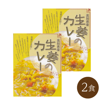 高知県産 生姜のカレー(2食)　四国地方 高知県 美食うまいもん市場