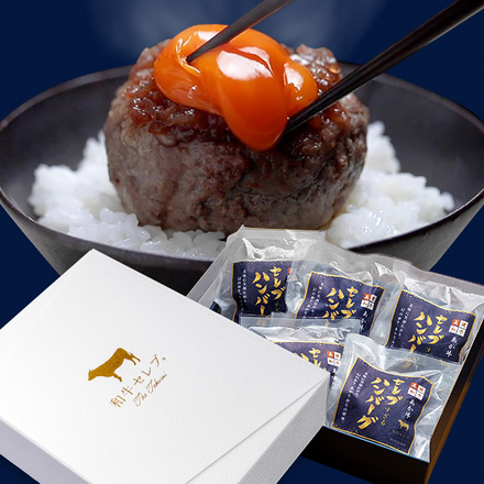 あか牛（和牛） セレブハンバーグステーキ 5個 （100g×5個）