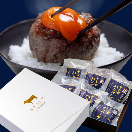 あか牛（和牛） セレブハンバーグステーキ 6個 （100g×6個）