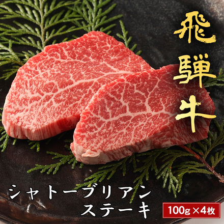 飛騨牛 ステーキ シャトーブリアン 100g×4枚
