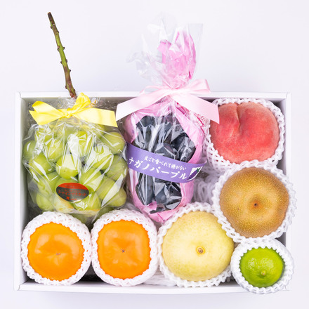 季節のフルーツ盛り合わせ 「雅」