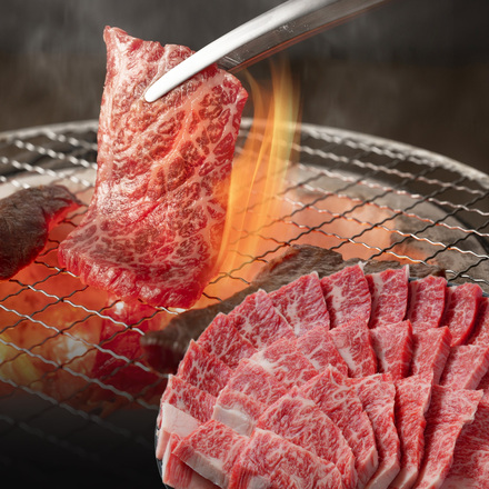 宮崎牛 特上赤身 焼肉 400g
