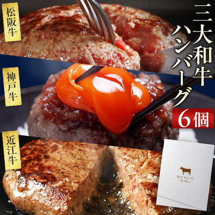 松阪牛・神戸牛・近江牛 日本三大和牛 3種 ハンバーグ 食べ比べ 80g×6個
