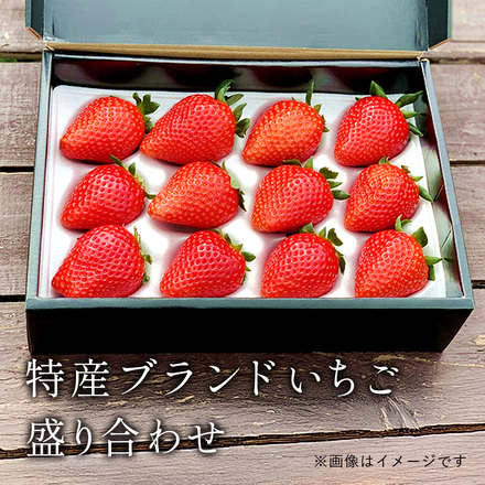 特選季節のフルーツ│とちあいか2パック300g