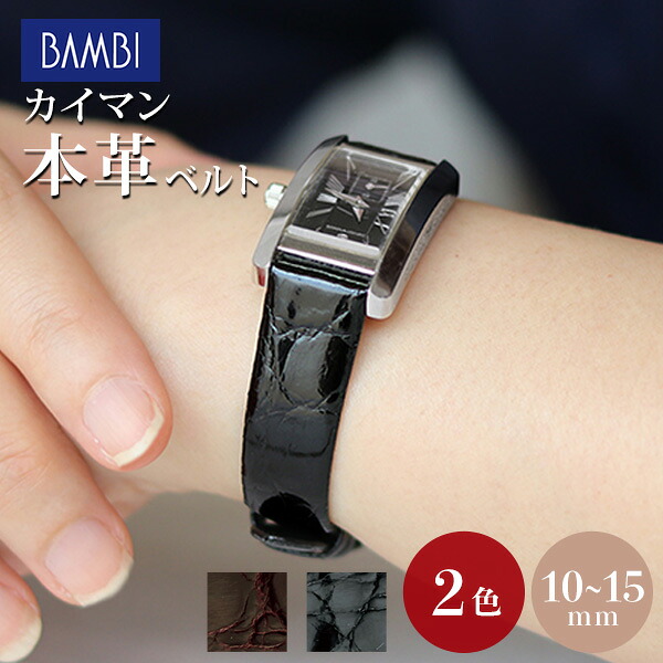 時計 ベルト 10mm 11mm 12mm 13mm 14mm 15mm ワニ革 カイマンシャイニング 交換用 替えベルト 腕時計用 選べるベルト BWA880 プレゼント ギフト