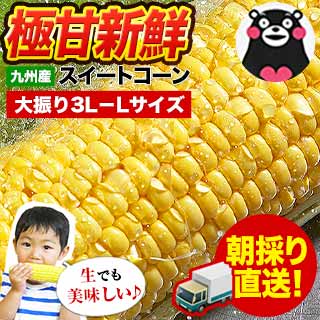 極甘とうもろこし スイートコーン 5本入り (3L-L サイズ) 朝採り 生で食べられる フルーツコーン メロン並の甘さ ゴールドラッシュ 味来 恵味 お取り寄せグルメ 《6月中旬-7月上旬頃より発送予定》クール便