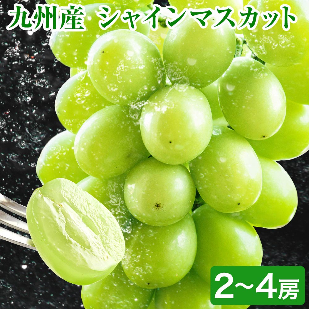 【予約販売】シャインマスカット 1kg-1.2kg前後 フルーツ 贈答用 プレゼント ギフト 果物 マスカット ぶどう ブドウ 九州産 皮ごと食べられる 通販 クール便 熊本 《7月末-8月中旬に出荷予定》