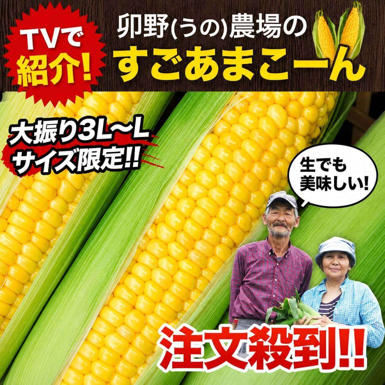 卯野農場 の すごあまこーん 5本入り (3L~L サイズ)朝採り 生で食べられる フルーツコーン とうもろこし スイートコーン 恵味 お取り寄せグルメ 《7月上旬-7月中旬頃より発送予定》