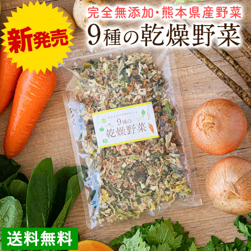 【賞味期限2026年10月28日まで】 乾燥野菜 9種 国産 無添加 熊本県産 フリーズドライ 100g ミックス 野菜セット みそ汁の具 スープ インスタント 健康 ブドウ糖不使用 送料無料 《1-5営業日以内に発送予定(土日祝日除く)》| 熊本