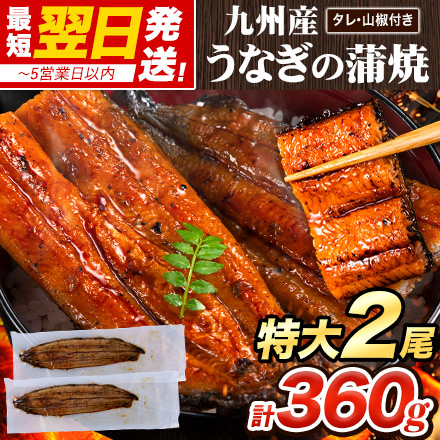 うなぎ 2尾 合計360g以上 特大サイズ うなぎの蒲焼 うなぎの蒲焼き 国産 蒲焼き 鰻 九州産 たれ さんしょう のセット 有頭 ウナギ 鰻 贈り物 ボイル 九州 蒲焼 冷凍 【1-5営業日以内に発送予定（土日祝除く）】