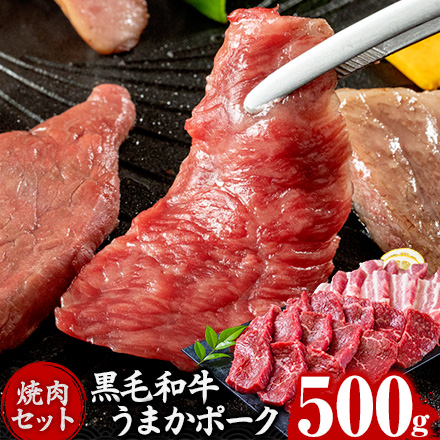 焼肉食べ比べセット 黒毛和牛 豚肉 500g 焼肉セット BBQ 国産 九州産 焼肉 肉 お肉 ウデ モモ 赤身 うまかポーク バラ肉【7-14営業日以内に発送予定（土日祝除く）】