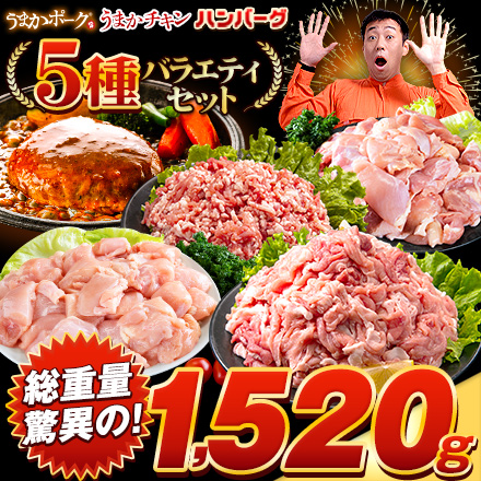 総重量1,520g! お肉5種 バラエティセット 肉 豚肉 鶏肉 ハンバーグ 5種 福袋 切り落とし 豚ミンチ 国産 豚 ミンチ うまかチキン モモ肉 むね肉【1-5営業日以内に発送予定（土日祝除く）】
