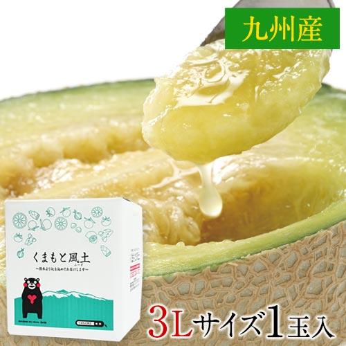 ギフト マスクメロン 九州産 メロン 【一番人気の3Lサイズ】大玉 1玉 約1.5kg以上 熨斗 ご贈答 フルーツ ギフト メロン 高級 のし 《7-14営業日以内に発送予（土日祝除く）（》