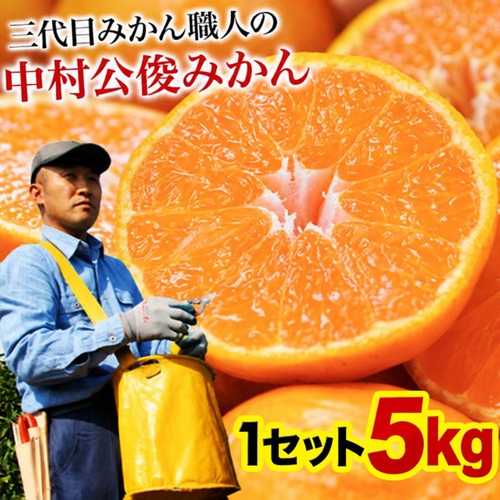 3代目 みかん職人 中村 公俊さんの みかん たっぷり 5kg 熊本県産 S-Lサイズ混合 温州 果物 柑橘 産地直送 食品 買い 箱 品種 取り寄せ 通販 ミカン 蜜柑 フルーツ 《7-14営業日以内に発送予定（土日祝除く）》