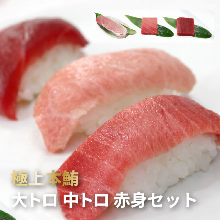 本まぐろ 大トロ 中トロ 赤身 ずっしり1kg 解凍レシピ付 [大中赤セット-2p]