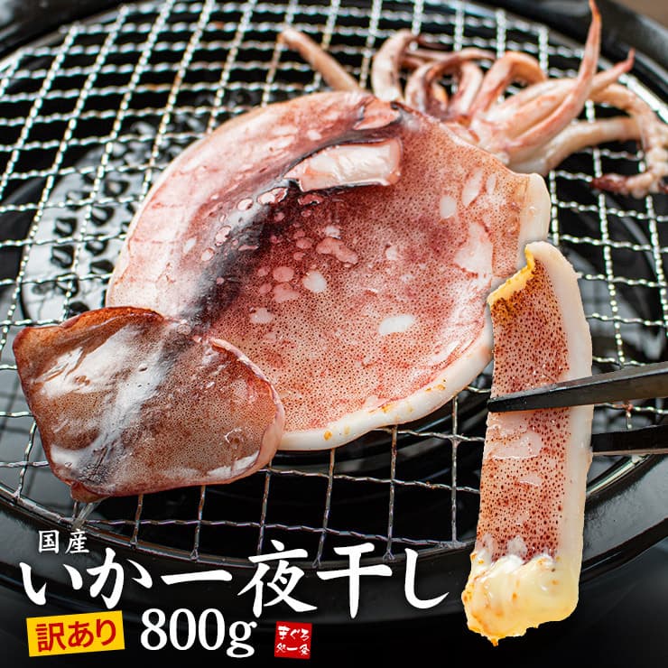 訳あり 国産 スルメイカ一夜干し 800g (4～8枚入) 小さめ サイズ不揃い 破れ スミや腑によるシミあり[[訳ありいか一夜干し]超速（ちょうそく）発送 1-3営業日以内に発送予定 土日祝除く