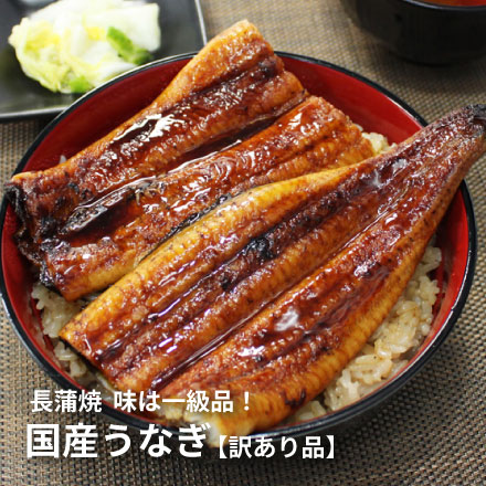 訳あり 国産 うなぎ 長蒲焼き 1kg 身が崩れたりサイズが不均一の訳あり品 [訳ありウナギ蒲焼き500g-2p]