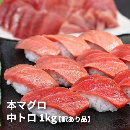 訳あり 本マグロ 中トロ 1kg [訳あり中トロ1kg]