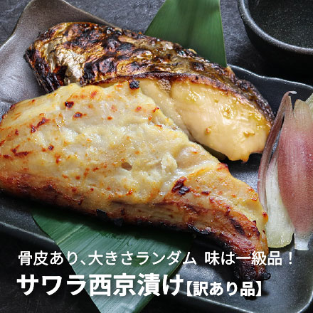 訳ありさわら 西京漬け 500g(4～5人前) [訳ありサワラ西京漬500g]超速（ちょうそく）発送 1-3営業日以内に発送予定 土日祝除く