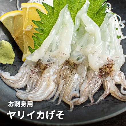 お刺身用 ヤリイカ げそ 20枚入り×5パック [ヤリイカげそ20枚-5p]