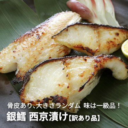 訳あり 銀だら 西京漬け 1kg (500g×2パック) [訳あり銀だら西京漬500g-2p]