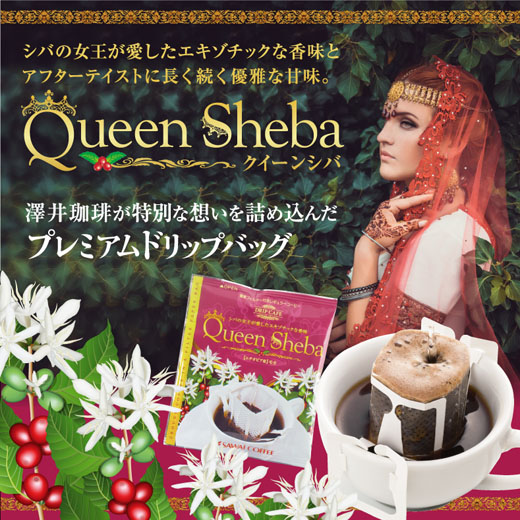 澤井珈琲 女王の名を冠した、華やかで優雅な香りのドリップパック ドリップコーヒー クィーンシバ 50袋