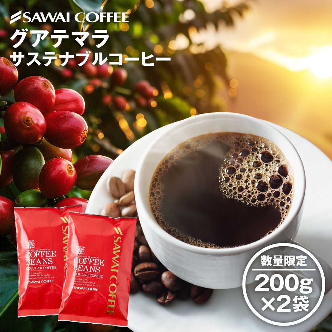 澤井珈琲 香り良くすっと飲める グアテマラ サステナブルコーヒー 200g×2袋 豆のまま