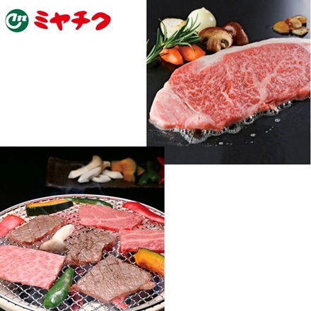 ミヤチク 宮崎牛堪能 2回コース 1回目 宮崎牛ステーキ用サーロイン 2回目 宮崎牛焼肉用モモ L1817-01