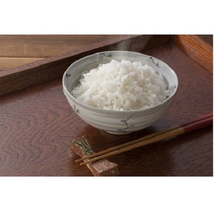 新米　新潟産にじのきらめき 5kg　令和7年産