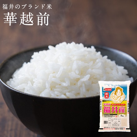 新米 福井県産 華越前 うるち米 5kg 令和7年産