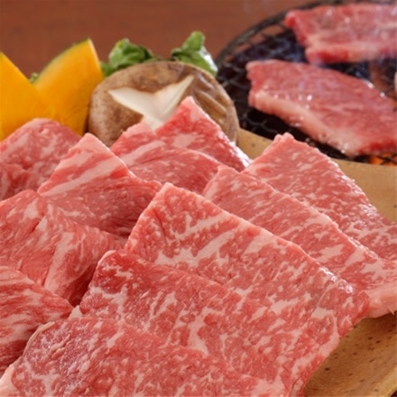 信州セキュアフーズ 滋賀 近江牛 焼肉用 モモ・バラ300g