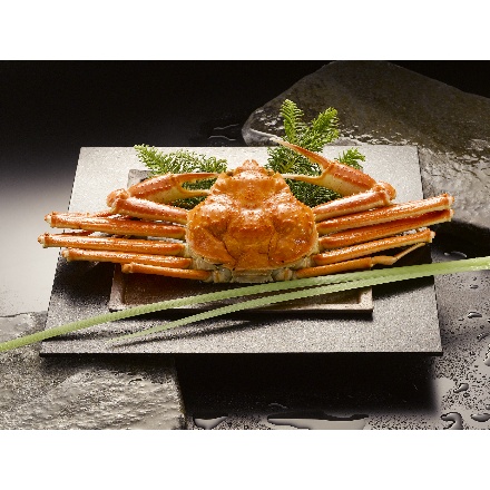 アイエスワイ ボイルずわいがに姿 450g×1杯