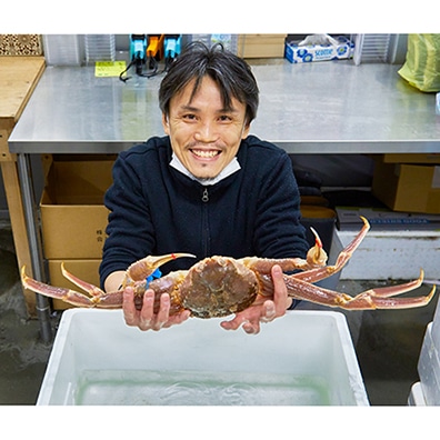 豊洲市場厳選 活け越前カニ ズワイガニ 約800g 永久不滅ポイント Ucポイント交換の Storee Saison ストーリー セゾン