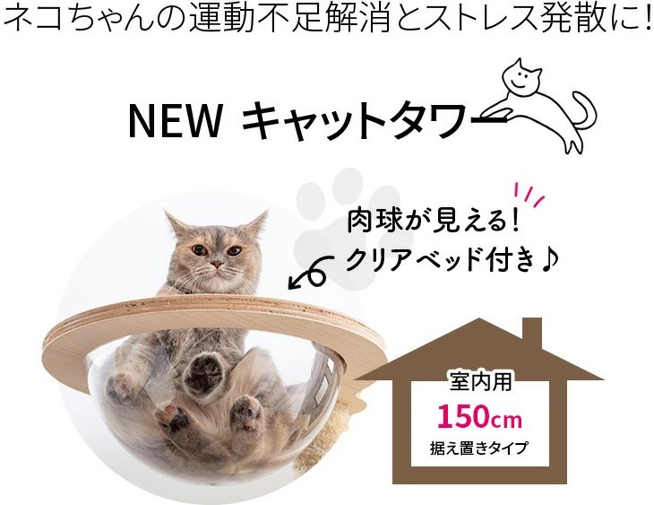 キャットタワー 据え置き 肉球クリアベッド付き グレー