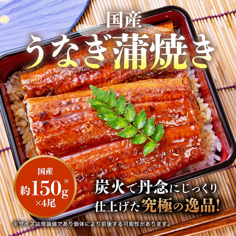 国産 うなぎ 鰻 4尾 約150g×4