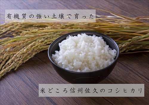 太鼓判 長野佐久産 コシヒカリ 10kg 令和5年産｜永久不滅ポイント・UC