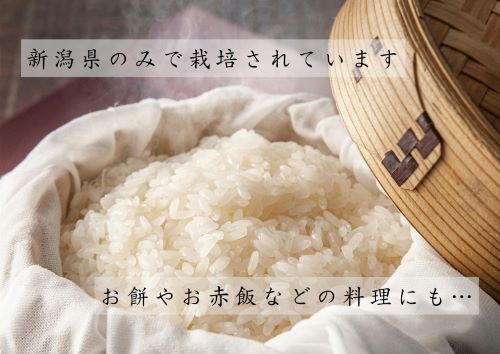 新潟県産 もち米 わたぼうし 5kg 令和5年産｜永久不滅ポイント・UC