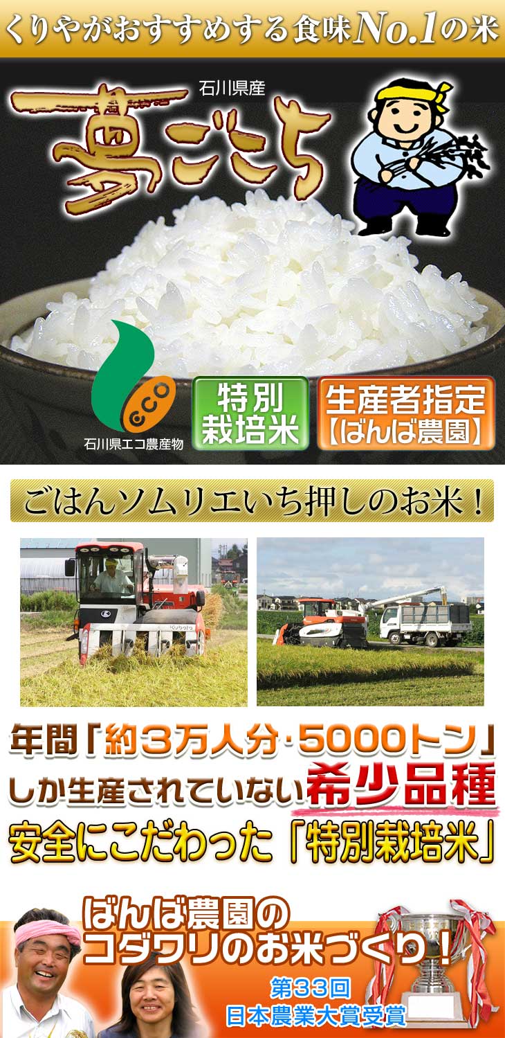 最終決算オコメール ３種のお米 300g×3 米 | onlineaqar.com